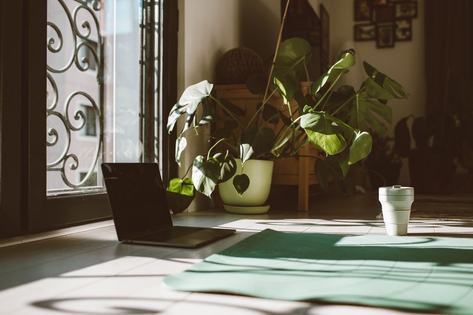 Green plants softening the corner of a calm studio room